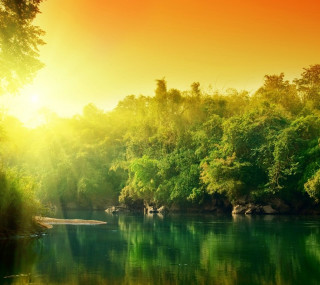 River trees sun sky water - river free wallpaper