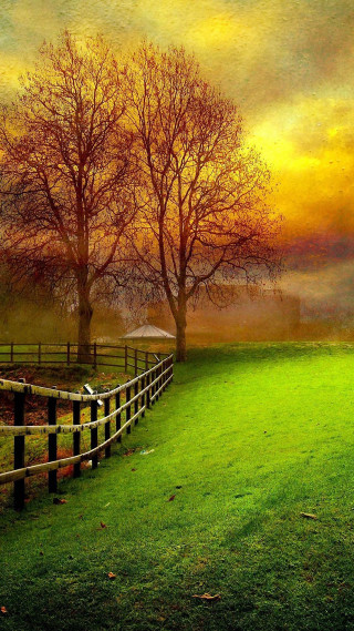 Fence trees field sunset foggy 2 - sunset free wallpaper