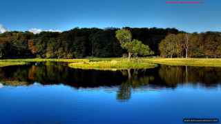 Lake trees grass blue sky 6 - beautiful landscape free wallpaper