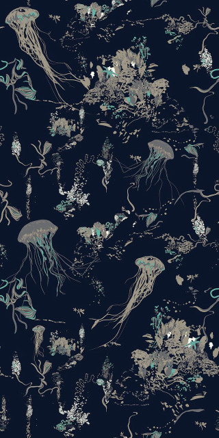 Blue white jellyfish seaweed background - jellyfish free wallpaper