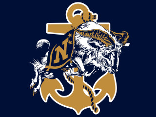 Navy blue gold logo tiger - a tiger free wallpaper