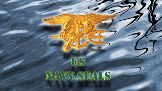 Us navy seal gold eagle - dave arredondo free wallpaper