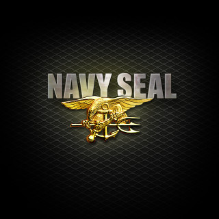 Navy seal logo gold eagle 2 - dave arredondo free wallpaper