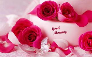 Pink cake roses butterfly good 2 - good free wallpaper