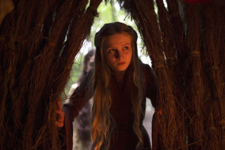 Woman forest branches head braided - ada gladys killins free wallpaper