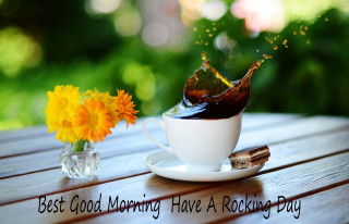Coffee flower vase outdoor morning - elizabeth durack free wallpaper