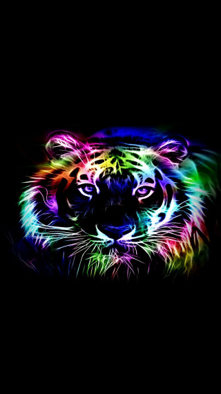 Colorful tiger black background white - a white tiger free wallpaper