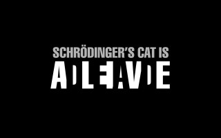 Schroddingers cat is alive black - alive free wallpaper