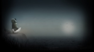 Woman sitting rock water birds - chris friel free wallpaper