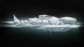 Polar bear ice water sailboat - a sailboat in the background free wallpaper