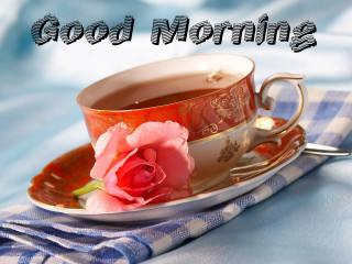 Cup tea pink flower plate - a pink flower free wallpaper