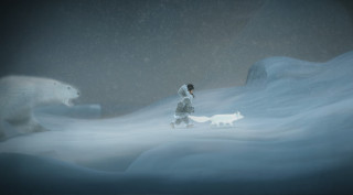 Person walking snow polar bears - a person in the background free wallpaper