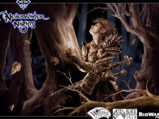 Woman forest sword tree branch - dark fantasy art free wallpaper