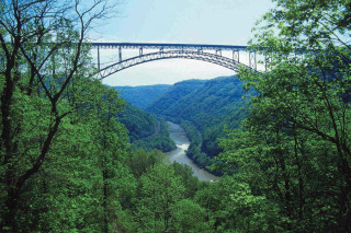 Bridge river forest background water - wpa free wallpaper