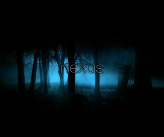 Dark forest light exxis neoism - neoism free wallpaper