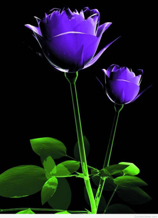 Purple flowers green leaves gothic - green leaf free wallpaper