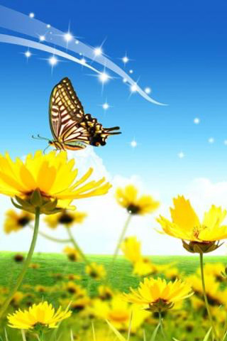 Butterfly yellow flowers blue sky - felipe seade free wallpaper