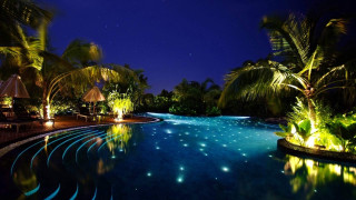 Pool starlight night palm trees - bruce munro free wallpaper