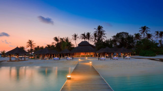 Dock beach restaurant sunset palm - table free wallpaper