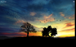 Sunset birds tree hill flying - a tree in the foreground free wallpaper