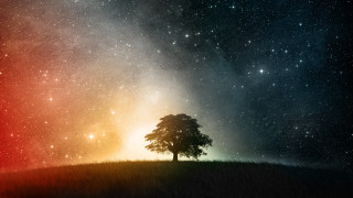 Lone tree hill night sky 7 - a lone tree free wallpaper
