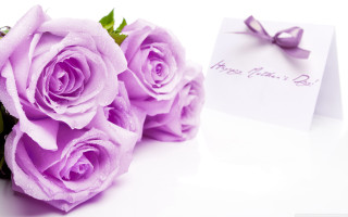 Purple roses bouquet card bow - a bouquet free wallpaper