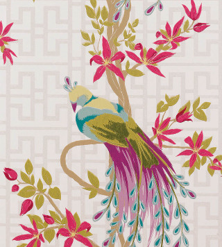 Bird long tail branch flowers - a branch free wallpaper