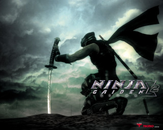 Man sword flag cloudy sky - a dark sky behind free wallpaper