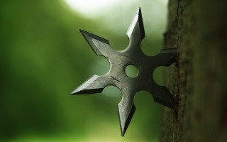 Metal star object tree trunk 2 - a blurry background of trees and grass free wallpaper