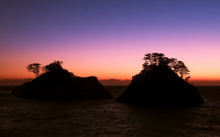 Rocks water sunset trees couple - the middle of a body free wallpaper
