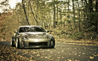 Car driving woods leaves trees - forest free wallpaper