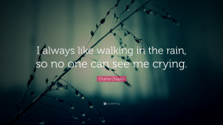 Quote dark plant foreground blurry - charles codman free wallpaper