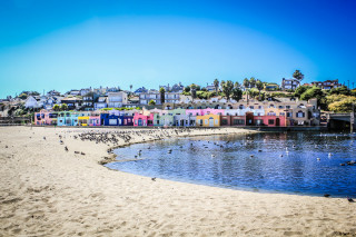 Beach birds city blue sky - a bunch of birds free wallpaper