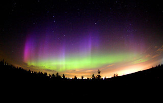 Bright aurora borealis forest night - david boyd free wallpaper