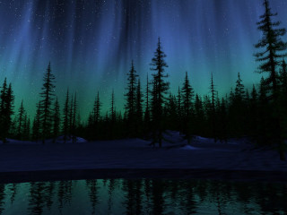 Night lake trees aurora lights - a night scene free wallpaper