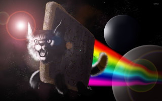 Cat rock rainbow light background - pop surrealism free wallpaper