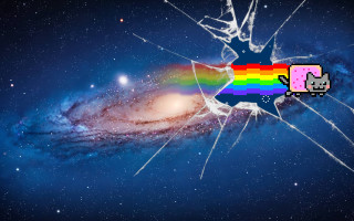 Broken window rainbow cat windowsill - a broken window free wallpaper