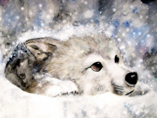 Wolf laying snow snowflake cat - watercolor free wallpaper