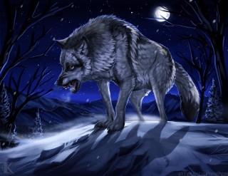 Wolf snow night fullmoon trees - full moon free wallpaper