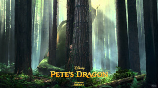 Peters dragon giant bear woods - adam rex free wallpaper