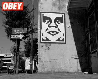 Black white woman face wall - cleve gray free wallpaper