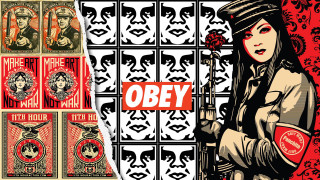 Woman rose obey poster images - derek gores free wallpaper