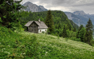 House hill forest mountains cloudy - ferenc joachim free wallpaper