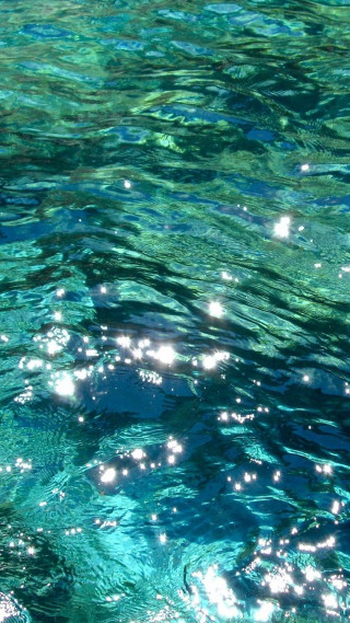 Blue water bubbles bird flying - impressionist free wallpaper