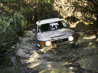 Car driving muddy road woods - the background and a dog free wallpaper