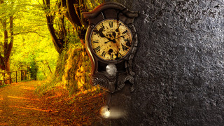Clock tree forest path background - magical free wallpaper for desktop