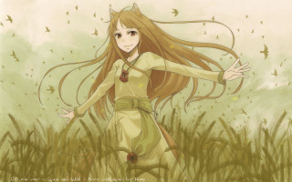 Girl long hair field grass - bird free wallpaper
