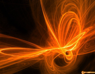 Yellow flower black background white - a computer free wallpaper