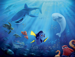 Fish ocean dolphin fish swimming - holography free wallpaper