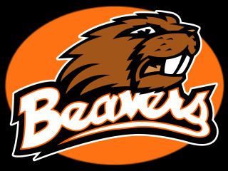 Beaver logo beavers face lion - the bottom of the logo free wallpaper